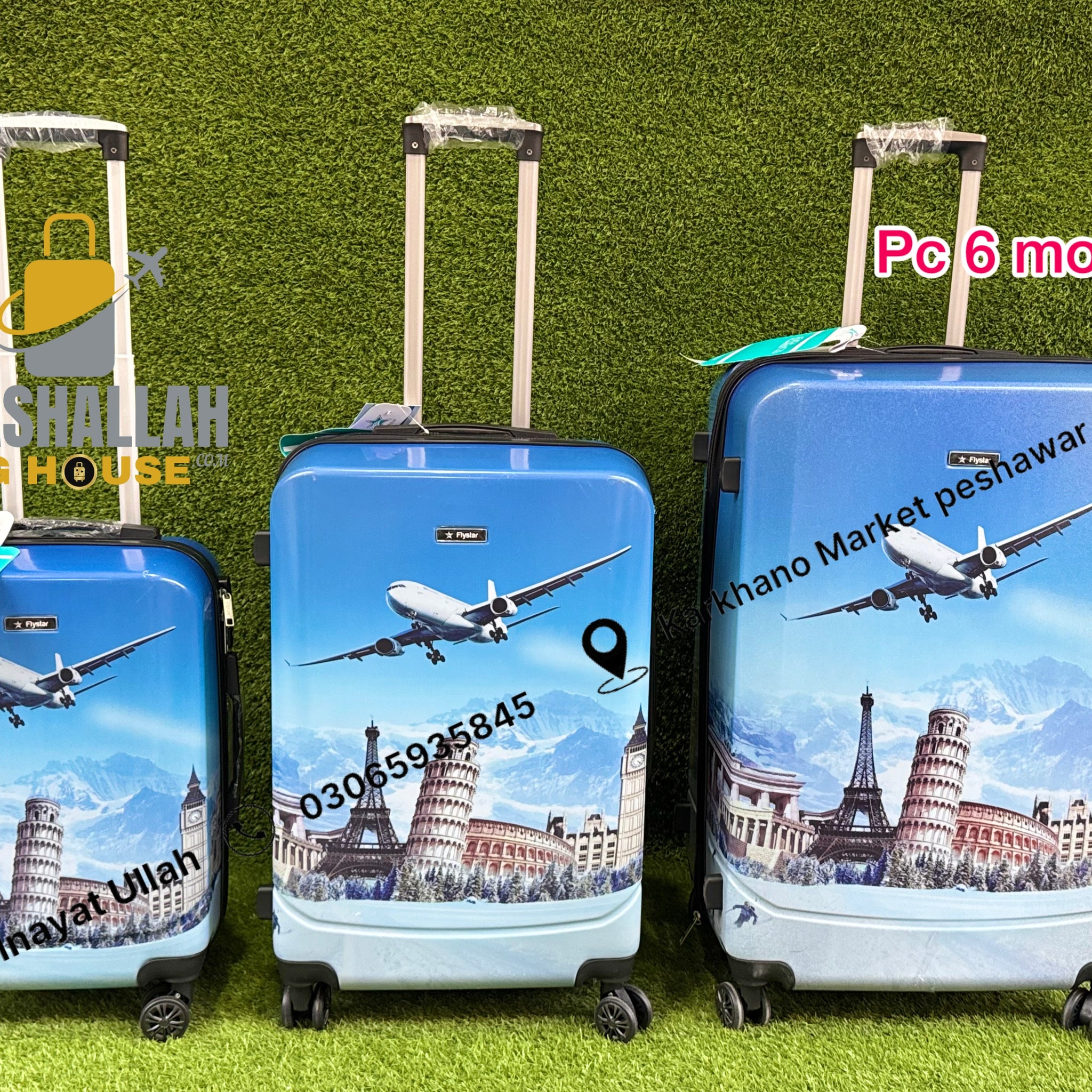 FlyStar Elegant Design 3pics Luggage Set model 6